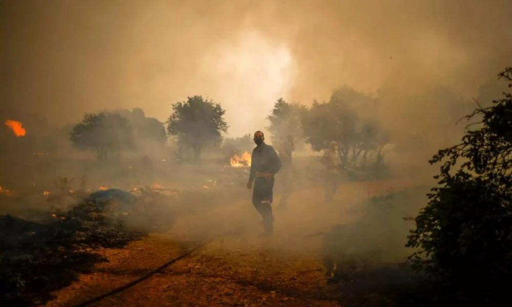 Πυρκαγιά σε χορτολιβαδική έκταση στην περιοχή Γκιώνα Ξάνθης